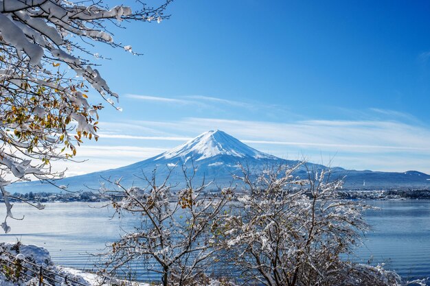 Foto la vista panoramica delle montagne innevate contro il cielo blu