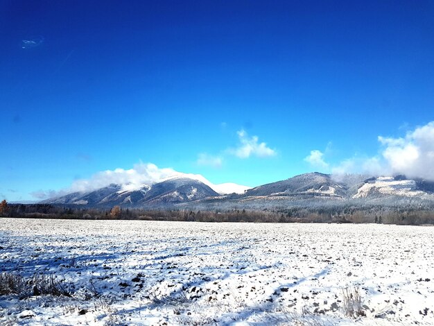 Scenic view of snowcapped mountains against blue sky