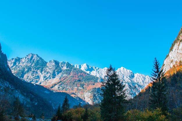 Scenic view of snowcapped mountains against clear blue sky