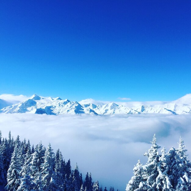 Scenic view of snowcapped mountains against clear blue sky