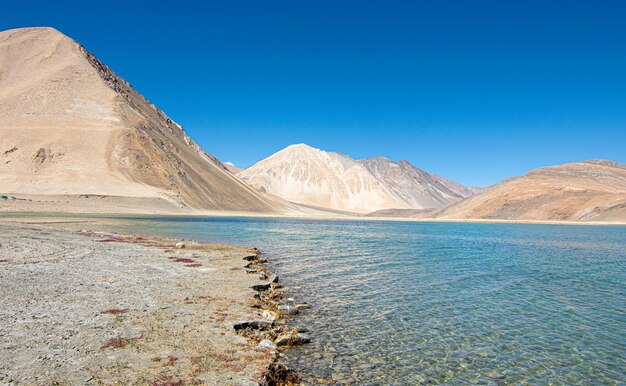 Scenic view of snowcapped mountains against clear blue sky