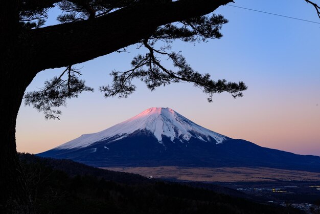 冬 の 空 に 照らさ れ て いる 雪 に 覆わ れ た 山 の 風景