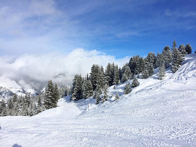 Scenic view of snowcapped mountains against sky