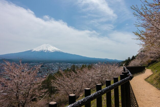 天空 に 対し て 雪 に 覆わ れ た 山 の 景色