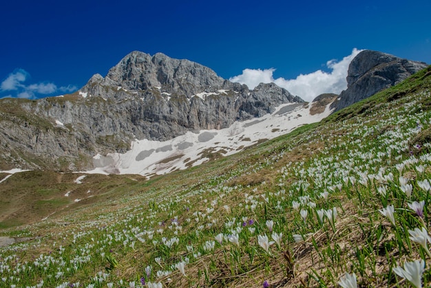 Foto la vista panoramica delle montagne innevate contro il cielo