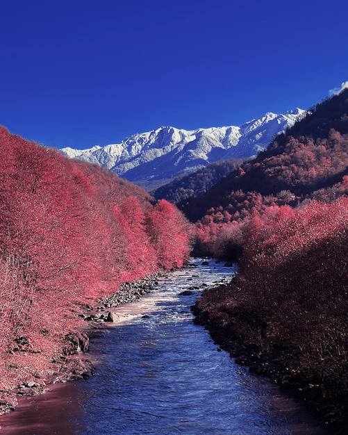 Photo scenic view of snowcapped mountains against sky