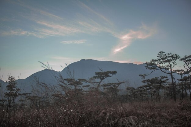 Photo scenic view of snowcapped mountains against skyphu soi dao