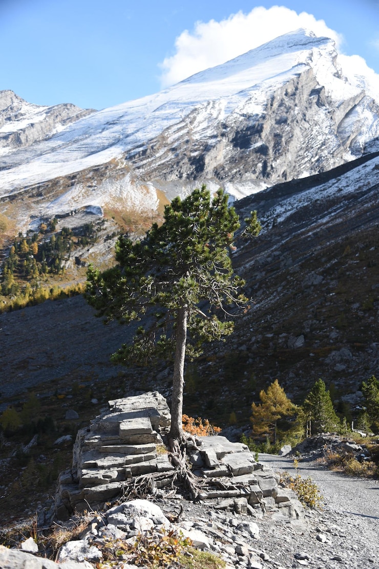 Photo scenic view of snowcapped mountains during winter