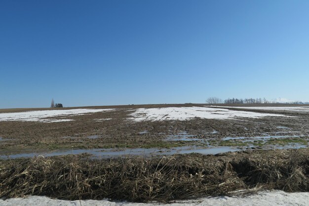 Scenic view of snowy field against clear blue sky