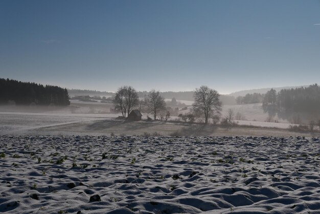 Foto la vista panoramica di un campo innevato contro un cielo limpido