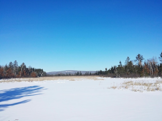 Scenic view of snowy landscape against clear blue sky