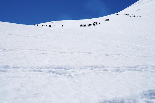 空に照らされた雪の風景の景色