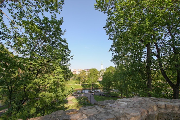 Scenic view in a spring park Flowers in bloom