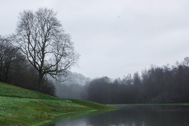 Scenic view of stream against sky