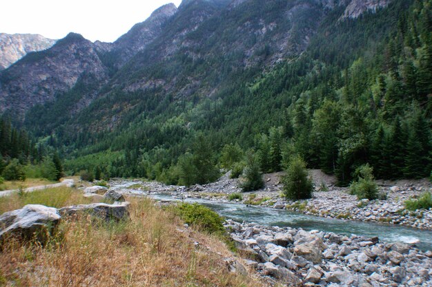 Foto la vista panoramica di un ruscello che scorre tra le montagne