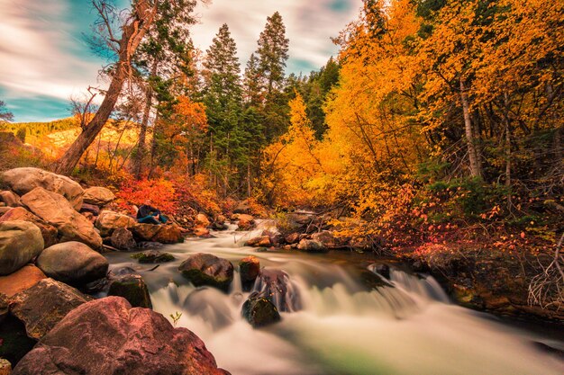 Photo scenic view of stream in forest during autumn