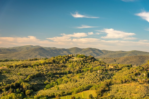 scenic view of summer landscape