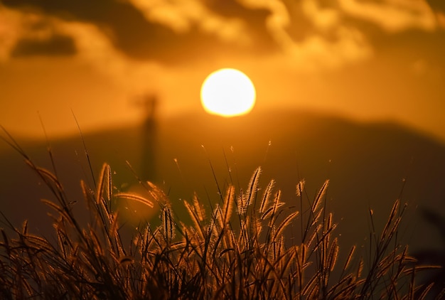 Foto la vista panoramica del tramonto sul campo