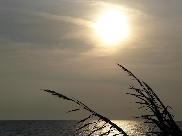 Scenic view of sunset over sea