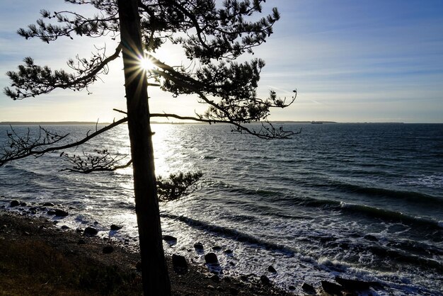 Foto la vista panoramica del tramonto sul mare