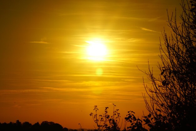 Scenic view of sunset