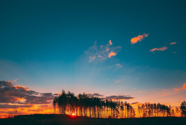 scenic view of sunset