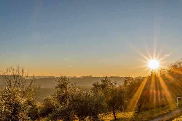 Foto la vista panoramica del tramonto