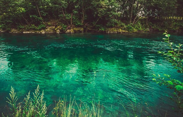 Photo scenic view of swimming pool in forest