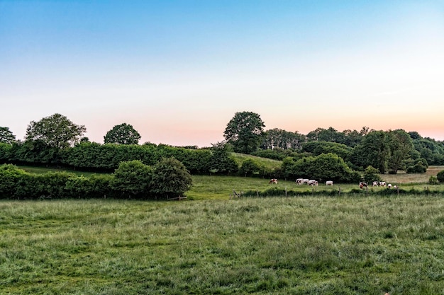 Foto vista panoramica di un paesaggio tranquillo contro un cielo limpido