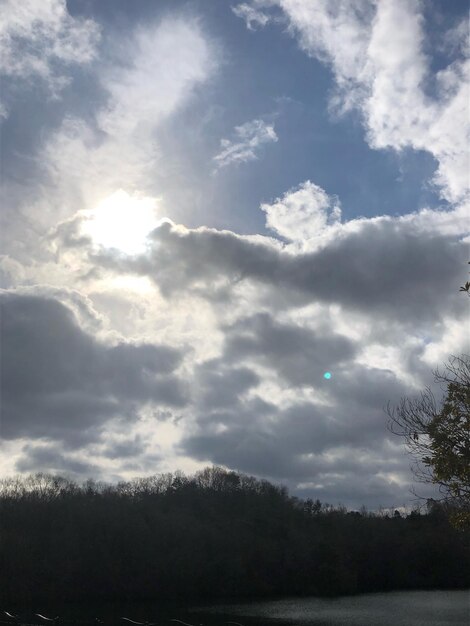 Scenic view of tree against sky