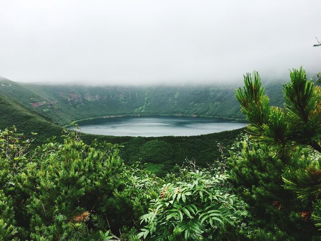 Photo scenic view of tree by mountains against sky