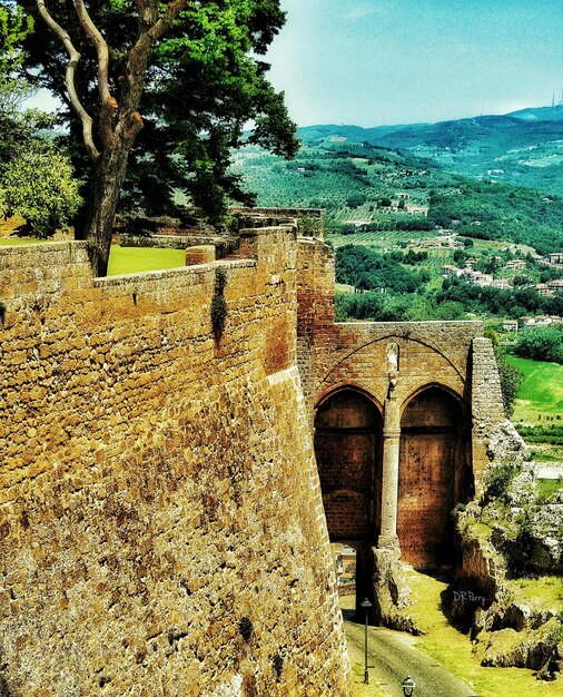 Foto la vista panoramica della montagna degli alberi contro il cielo