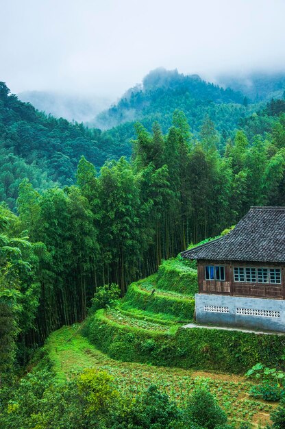 Scenic view of tree mountains against sky