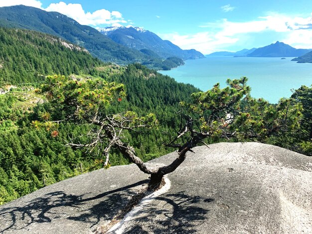 Scenic view of tree mountains against sky