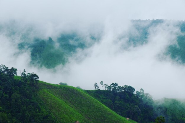 Scenic view of tree mountains against sky