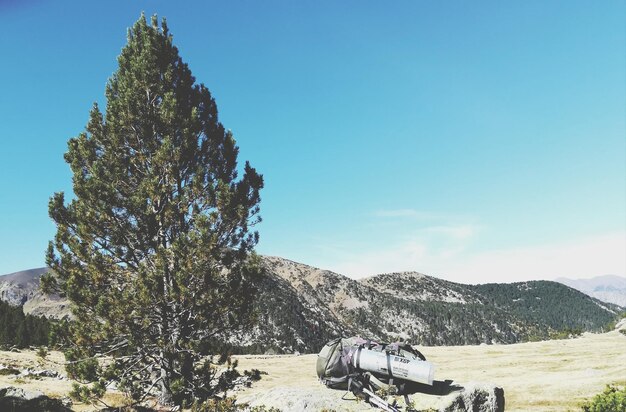 Scenic view of tree mountains against sky