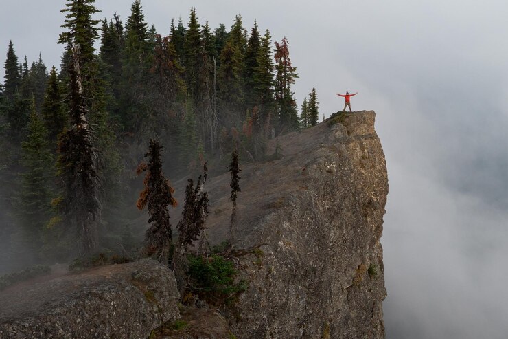 Photo scenic view of tree on rock against sky