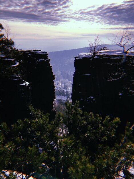 Foto la vista panoramica degli alberi contro un cielo nuvoloso