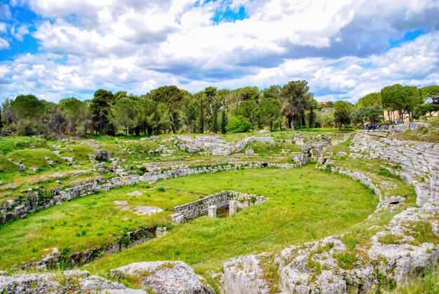 La vista panoramica degli alberi contro un cielo nuvoloso