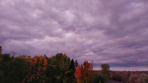 Scenic view of trees against sky during autumn