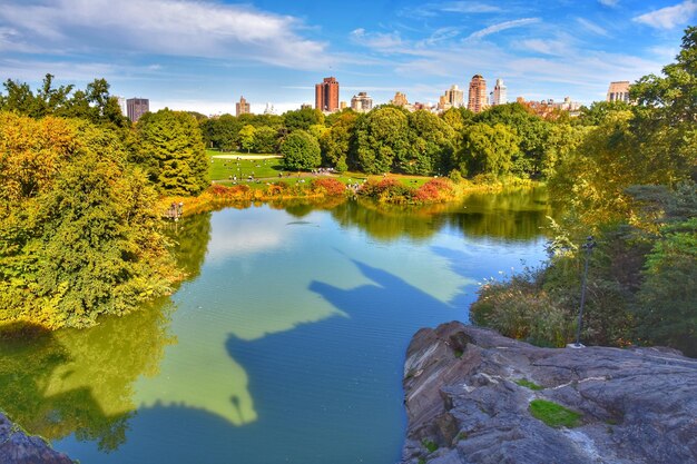 Foto la vista panoramica degli alberi contro il cielo durante l'autunno