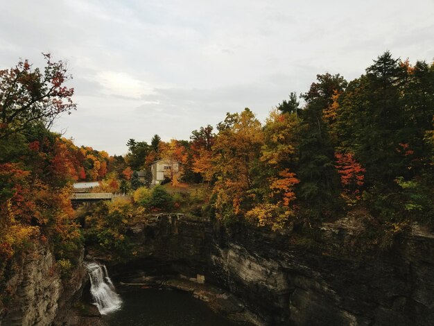 Scenic view of trees against sky during autumn