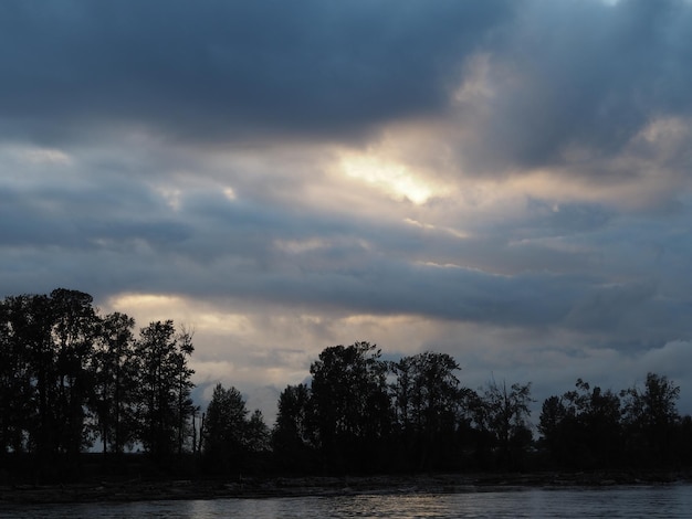 Scenic view of trees against sky during sunset