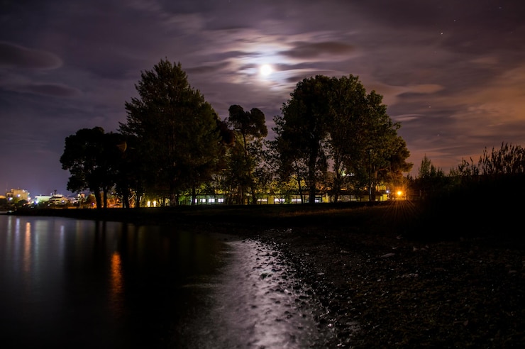 Photo scenic view of trees against sky at night