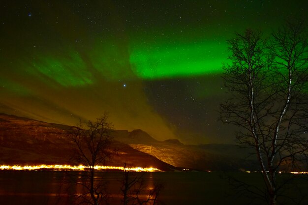 Scenic view of trees against sky at night