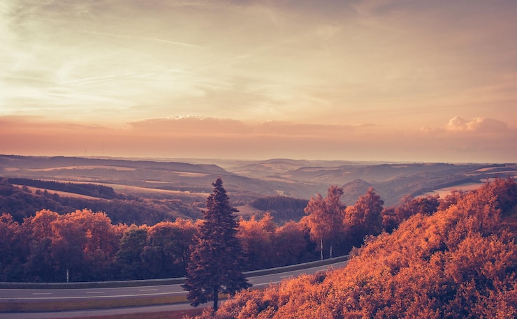 Photo scenic view of trees against sky during sunset