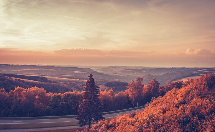 Photo scenic view of trees against sky during sunset