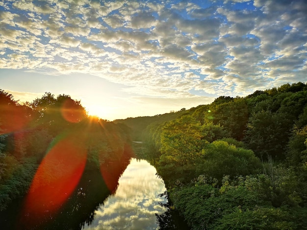 夕暮れ の 時 の 空 に 照らさ れ て いる 樹木 の 景色