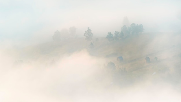 Foto la vista panoramica degli alberi contro il cielo