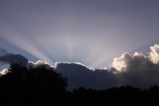 scenic view of trees against sky